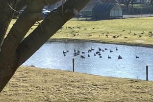 Alquiler Vacacional - Charming 4 bedroom FarmHaus, circa 1790, renovated on Scenic Byway.