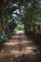 Alojamiento - Pousada Lagoa