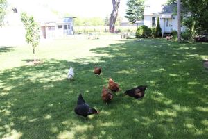 Alojamiento - Green Oaks Bed and Breakfast