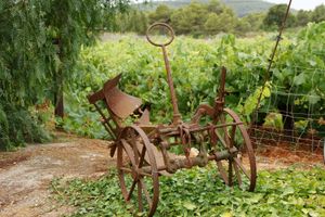 Alojamiento - Agroturismo Sa Vinya d'en Palerm