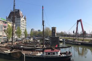 Actividad - Rotterdam Best of Both Sides Markthal, Cube Houses, Watertaxi, Wilhelminapier and Rooftop