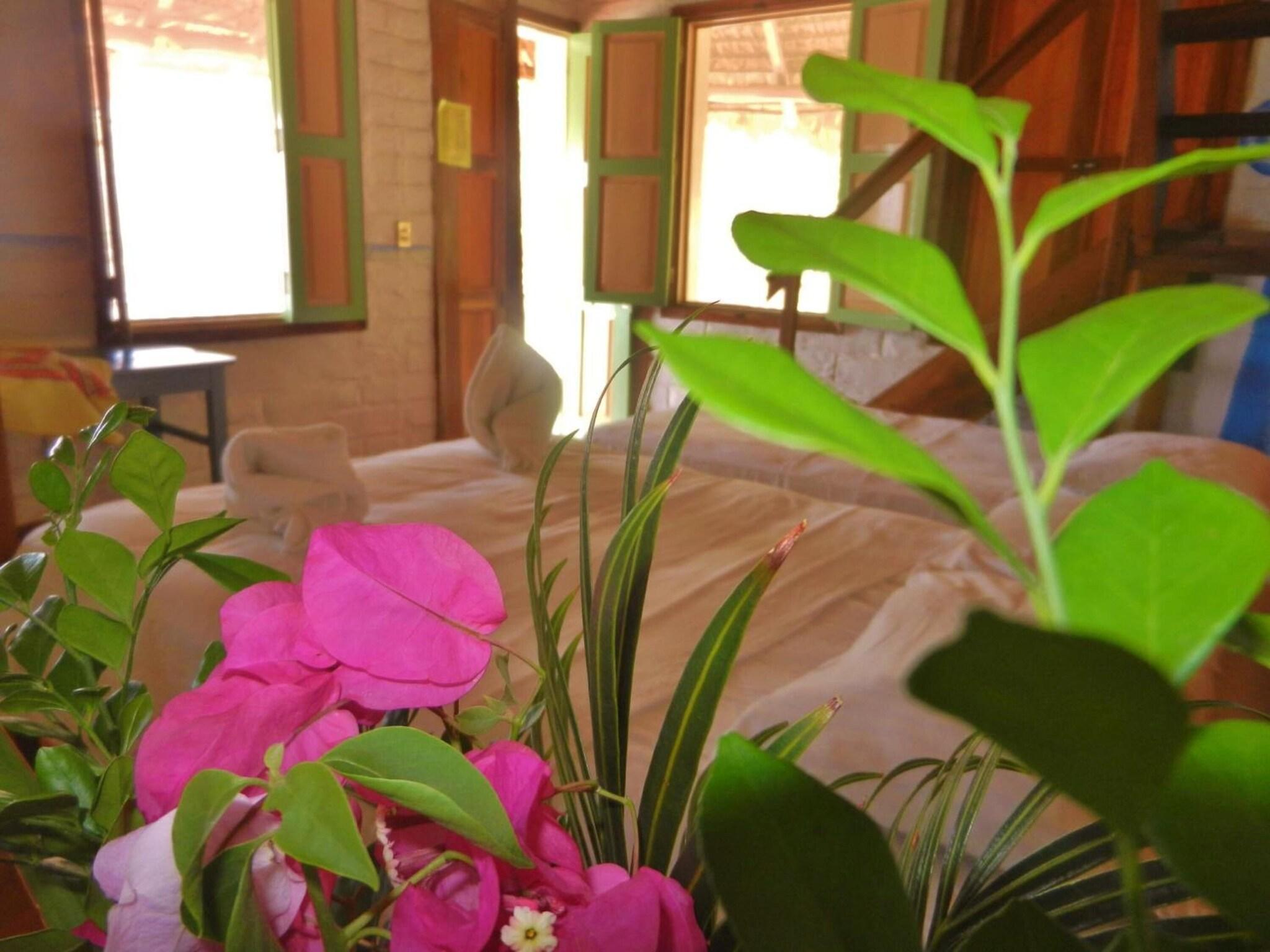 Vista Lobby Altamira Mazunte