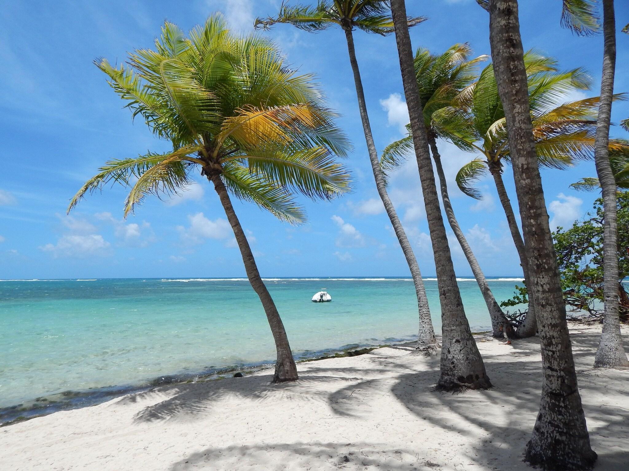 Playa Hotel Le Rotabas 