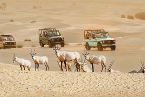 Actividad - Desert Safari por el Oasis de Al Marmoom en 4x4 vintage