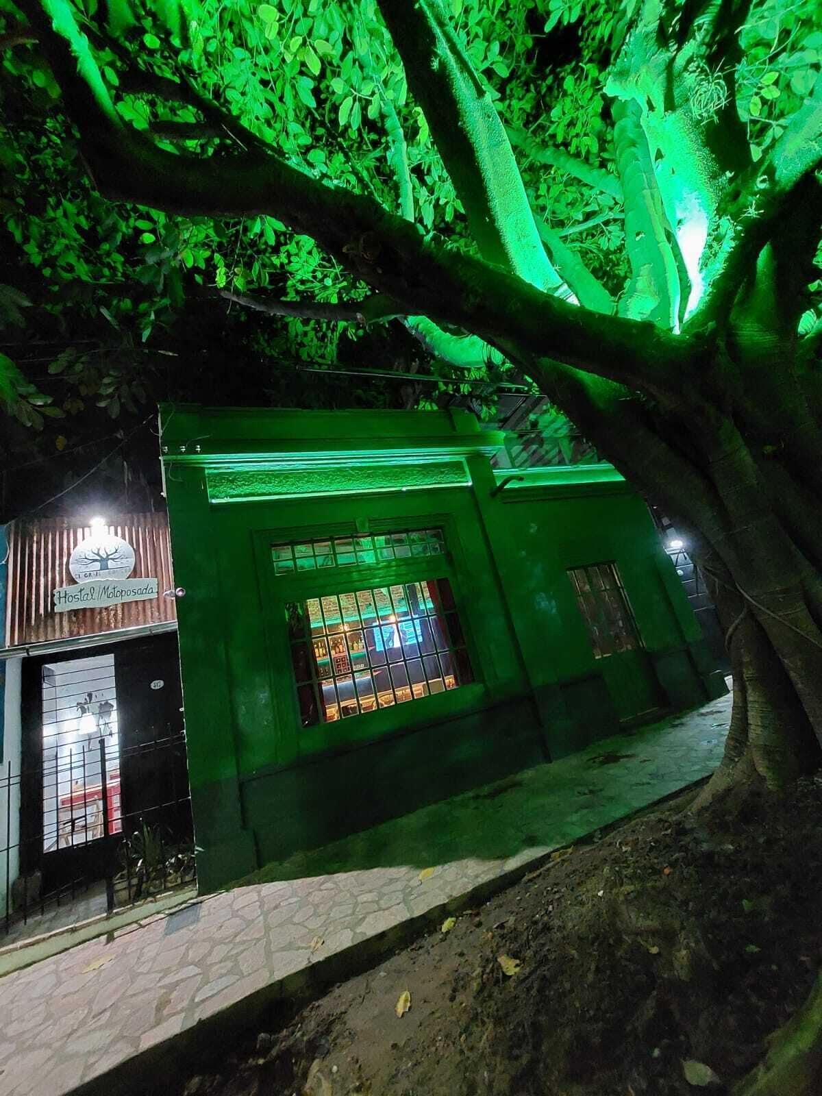 Varios El Gran Gomero