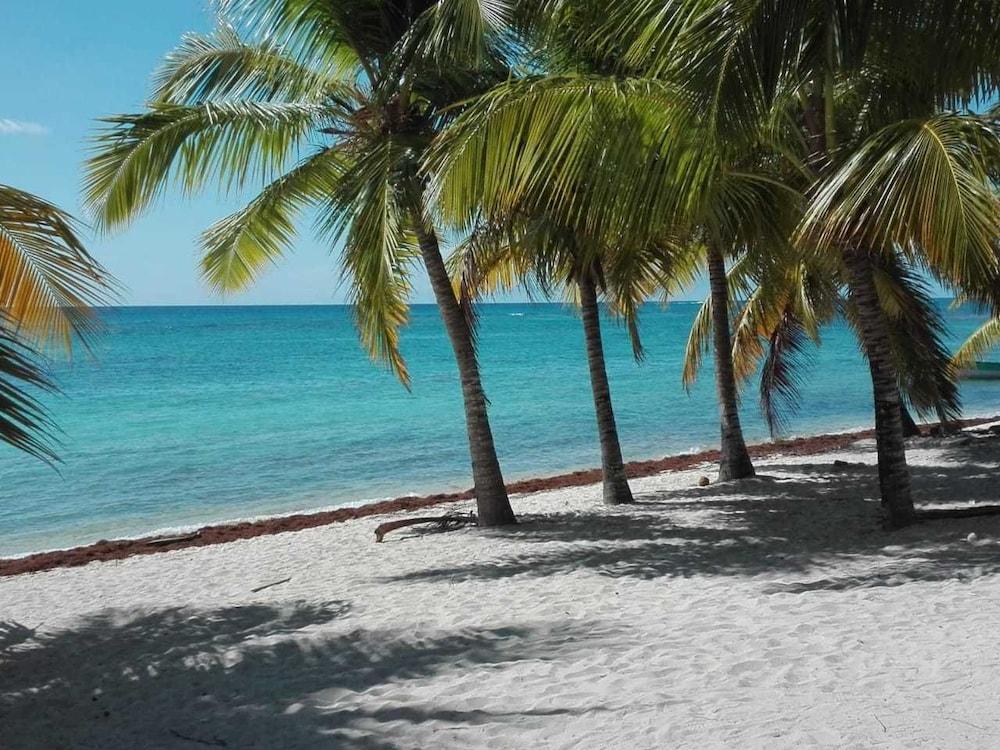 Playa Alkquimia Hotel Lounge and Bar