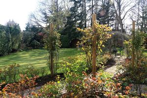 Alojamiento - Dawyk Beech Guesthouse