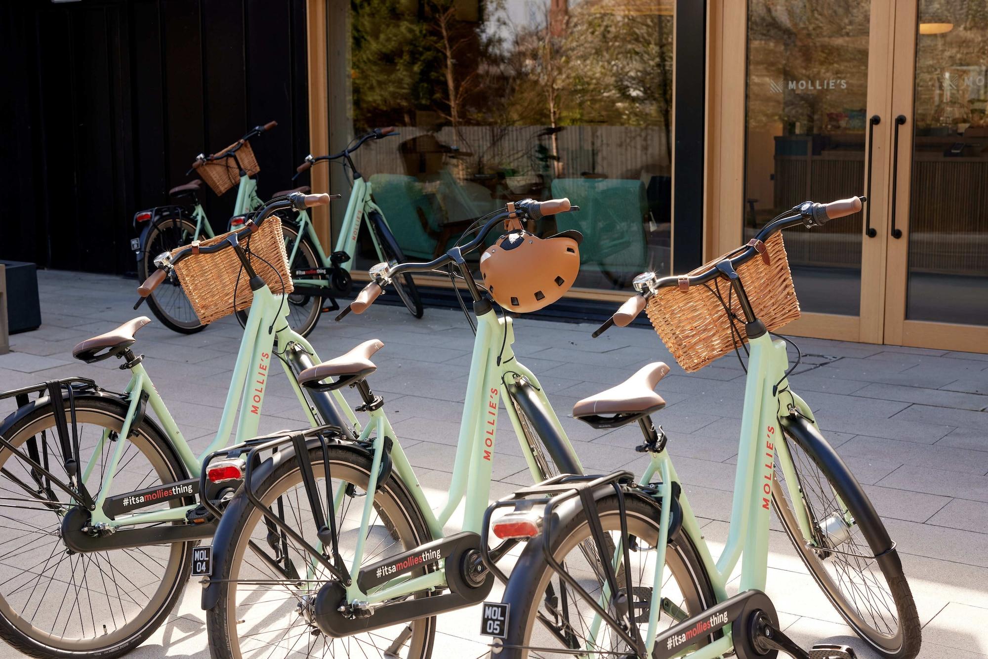 Varios Mollie's Oxford