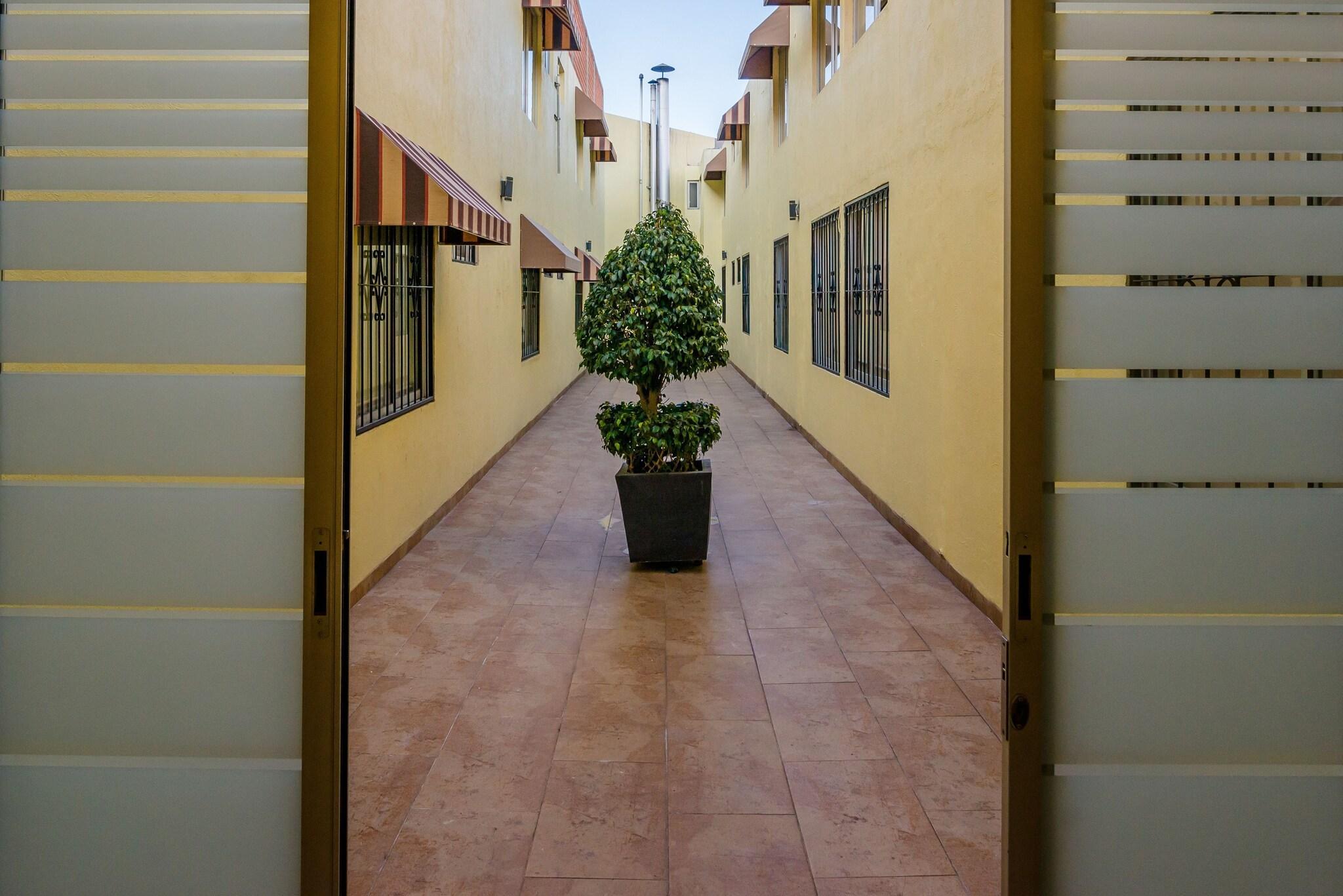Varios Hotel Expo Abastos