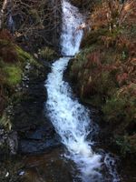Alquiler Vacacional - WILDWOOD in the Scottish Highlands near Loch Ness and Fort Augustus Pet Friendly