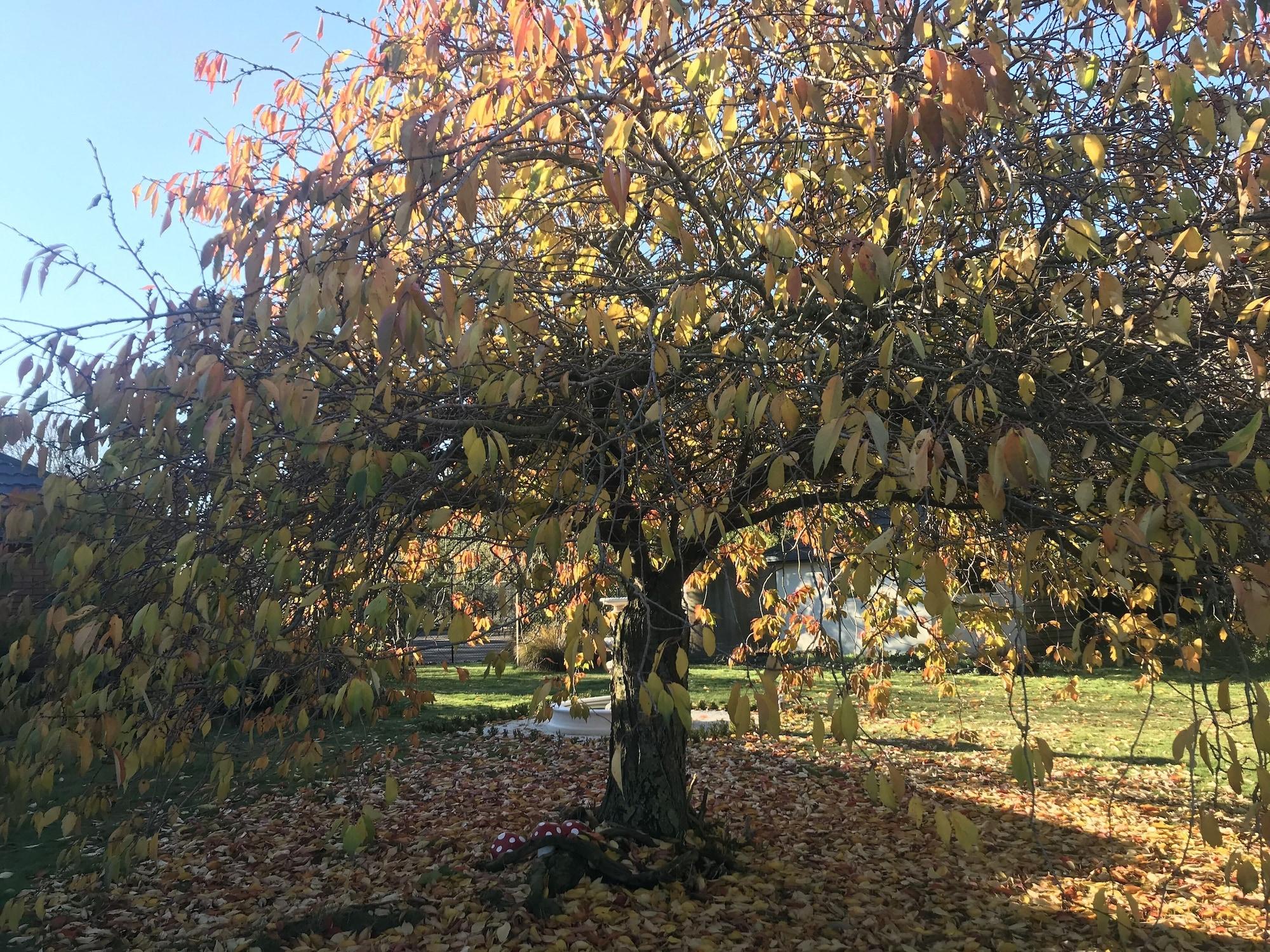 Vista Exterior Newlands B&B