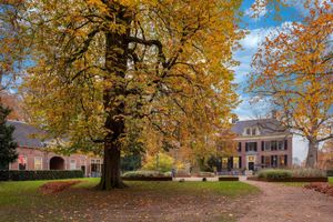 Alojamiento - Stayokay Utrecht Bunnik - Hostel