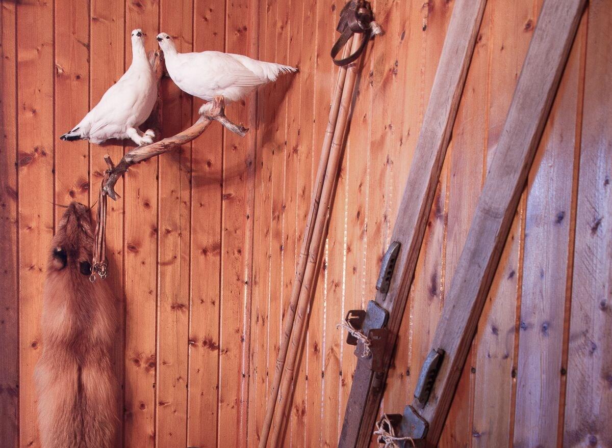 Vista Lobby Gargia Lodge