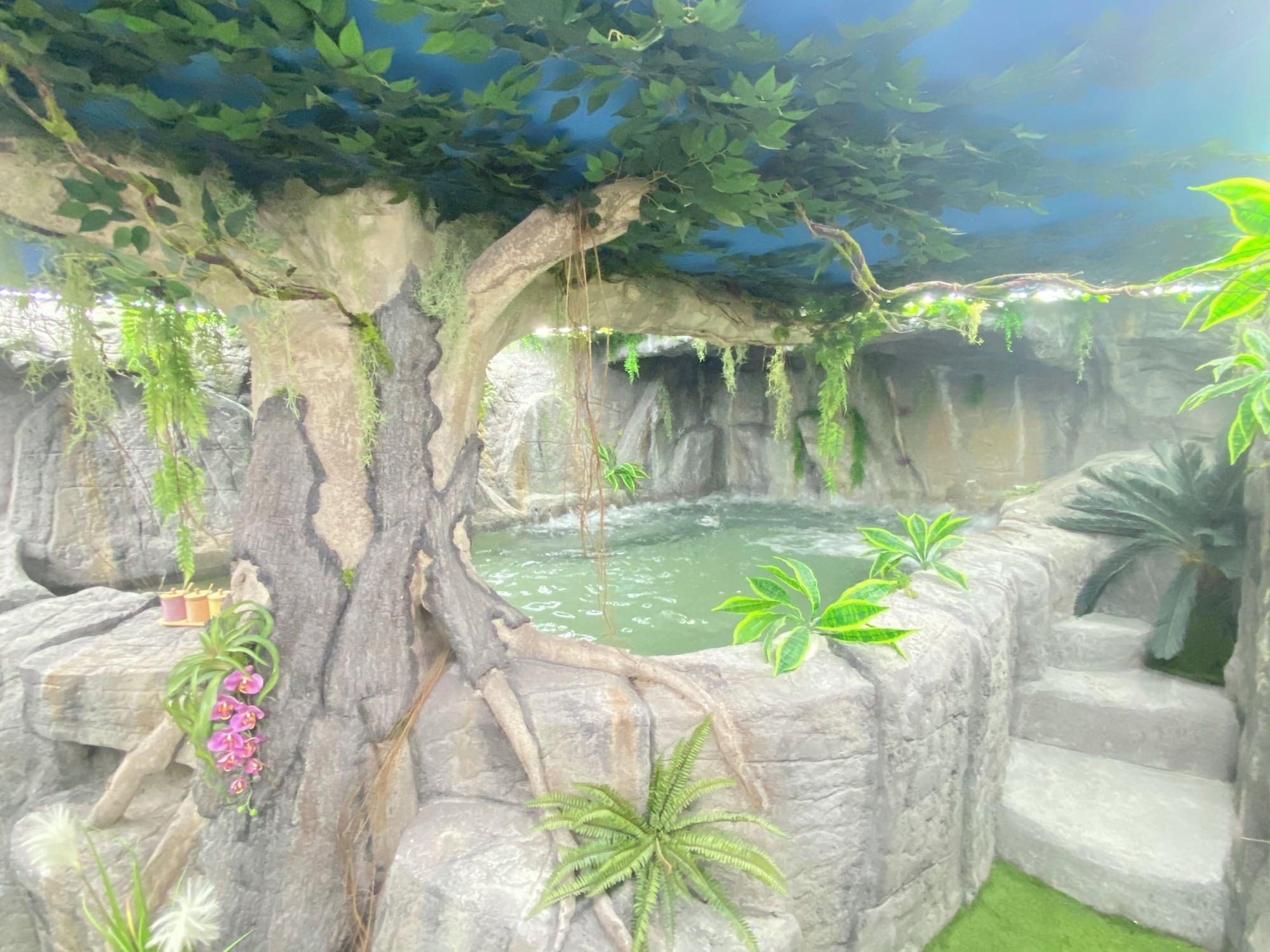 Vista Piscina Futurotel Spa Garden