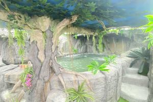 Alojamiento - Futurotel Spa Garden