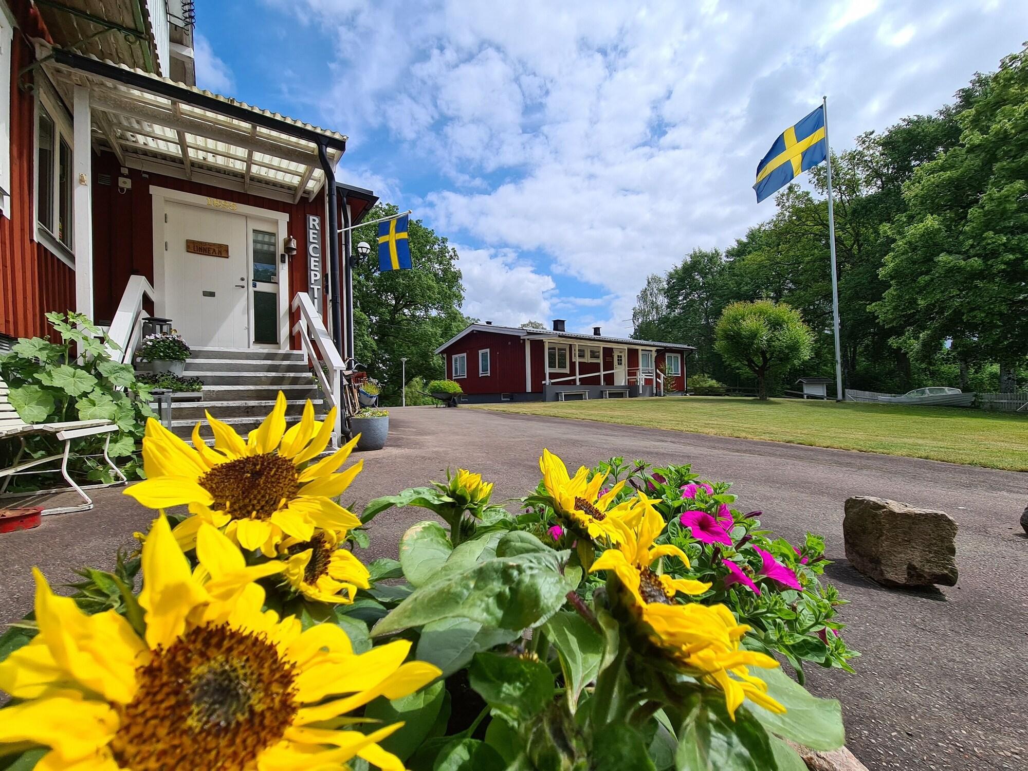 Varios Den Sovande Älgen