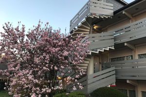 Alojamiento - Campanile NATURE - Cergy Pontoise