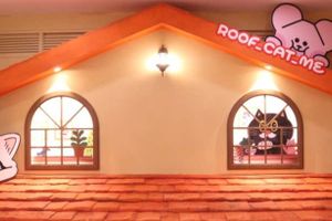 Actividad - Entrada a la cafetería Roof Cat Me