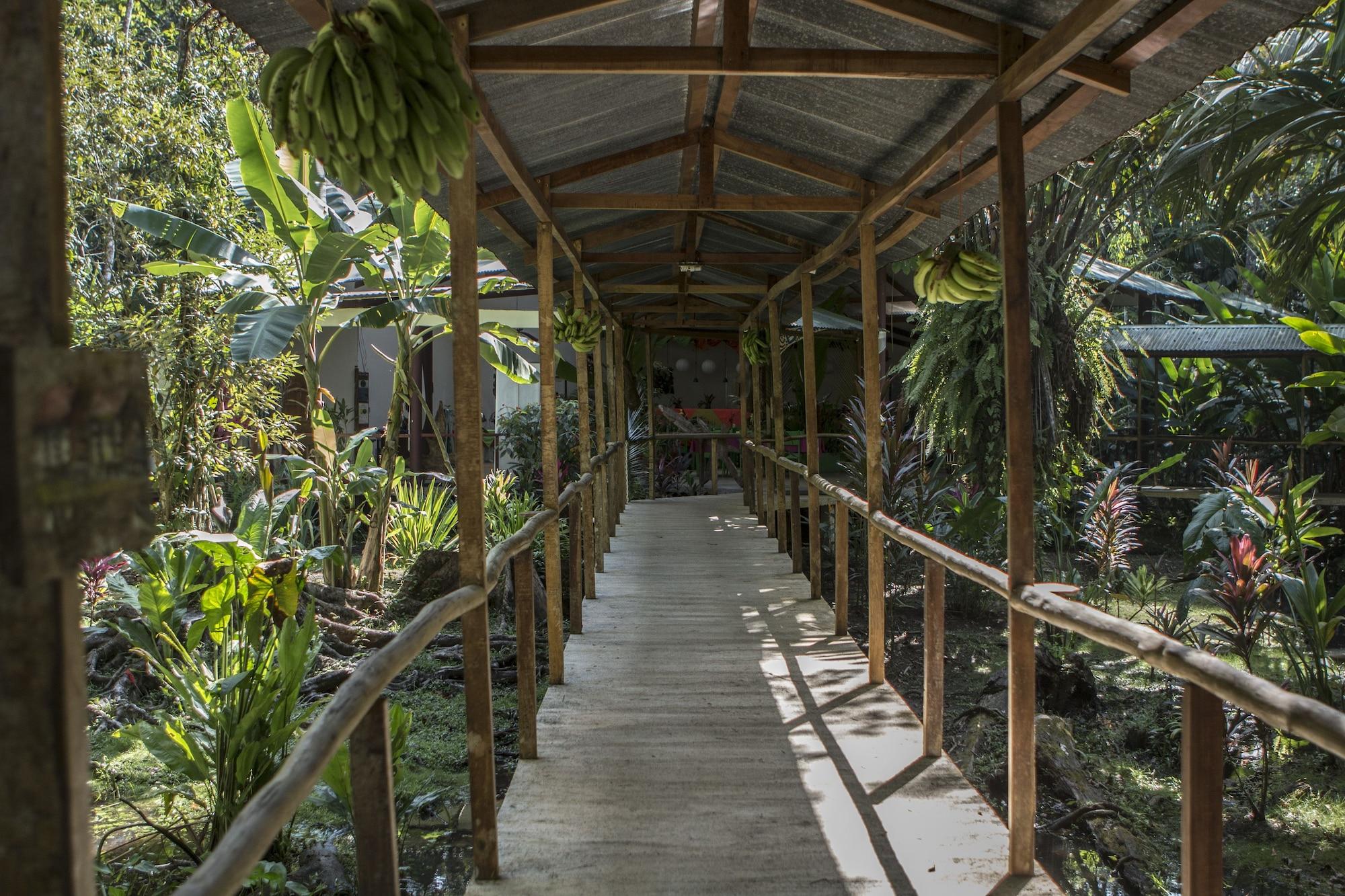 Vista Lobby Caribbean Paradise Eco-Lodge