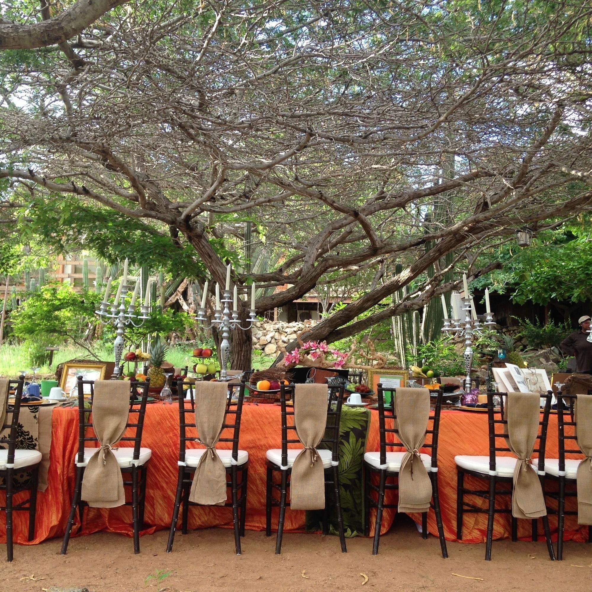 Vista Exterior House of Mosaic Villa Aruba