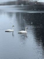 Alquiler Vacacional - Maple Lane Lake House
