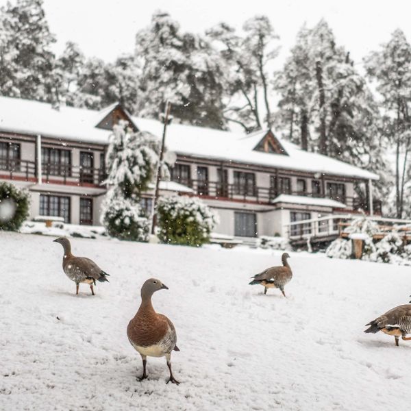 Casa del Lago