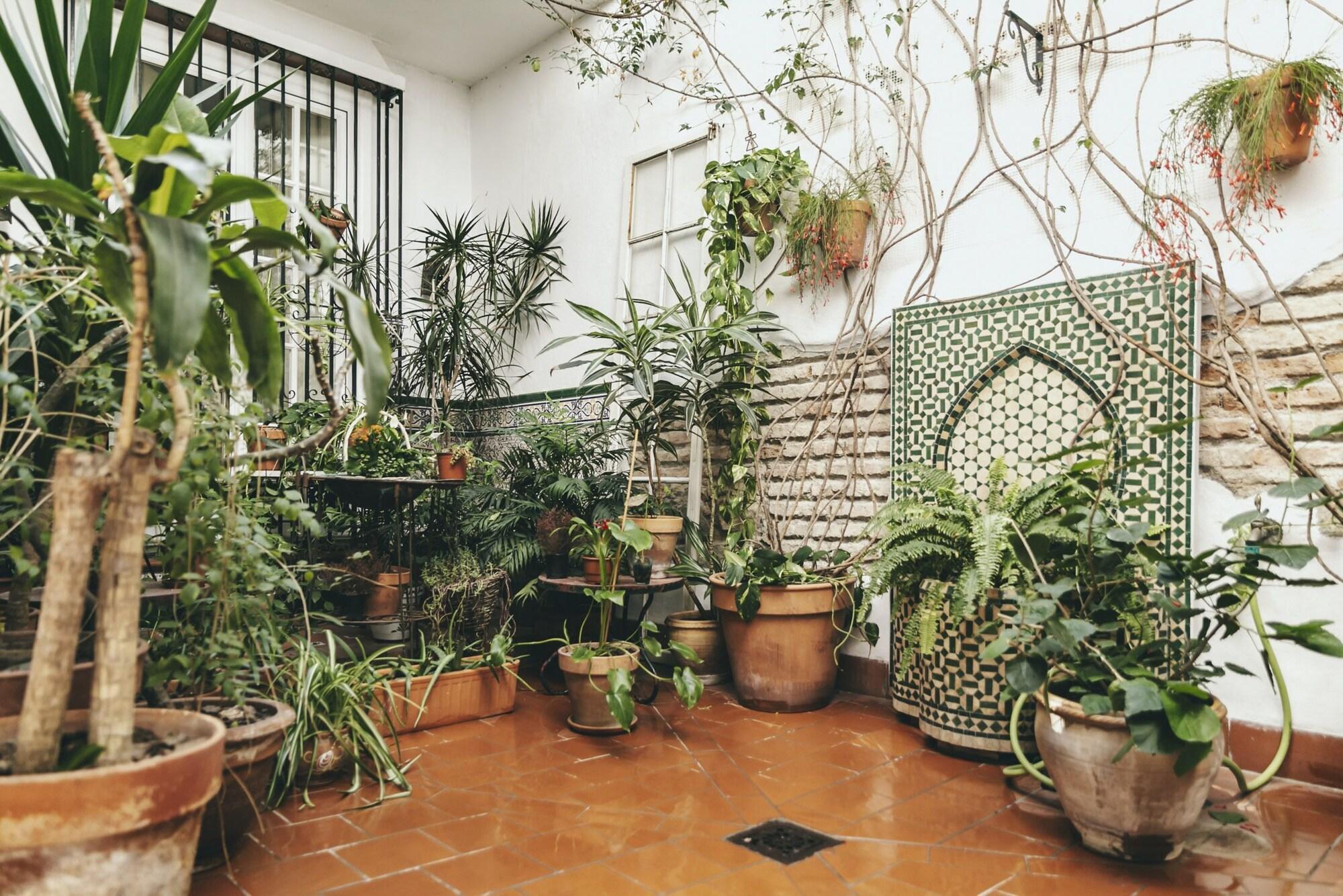 Varios EL Riad Andaluz - Guest House