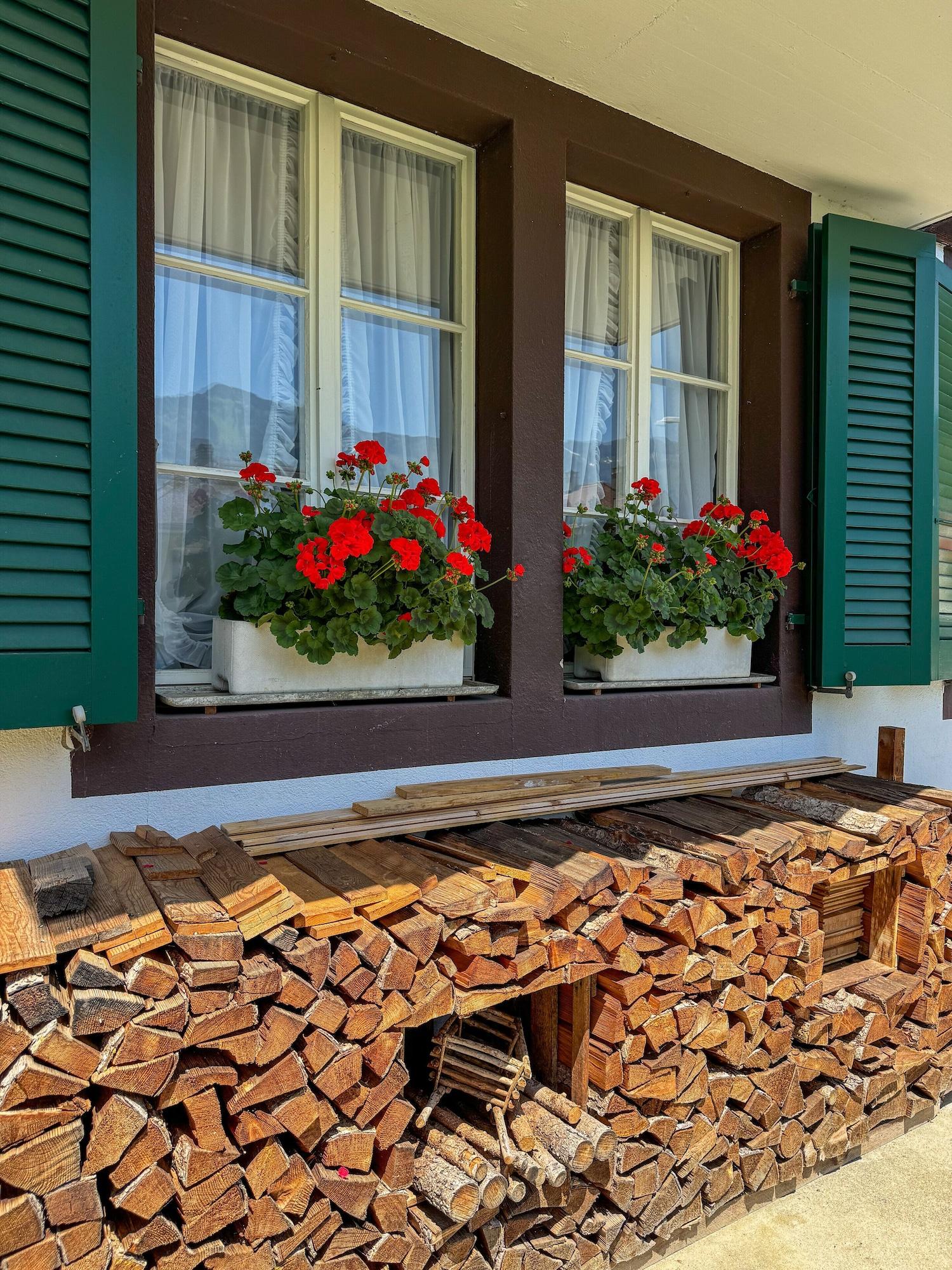 Vista Exterior Hotel Chalet Swiss