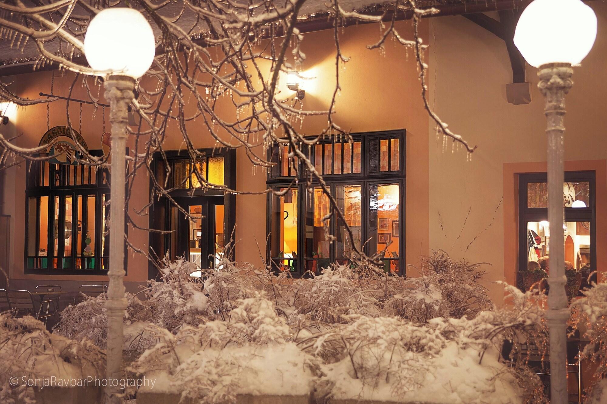 Vista Exterior Pri Žabarju Bed & Breakfast Ljubljana