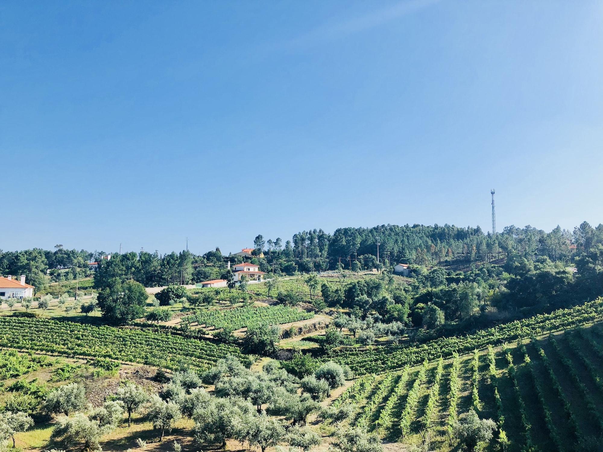 Vista Exterior Suites do Pinhal