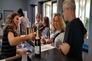 Actividad - Región vinícola de Martinborough - Excursión de día completo