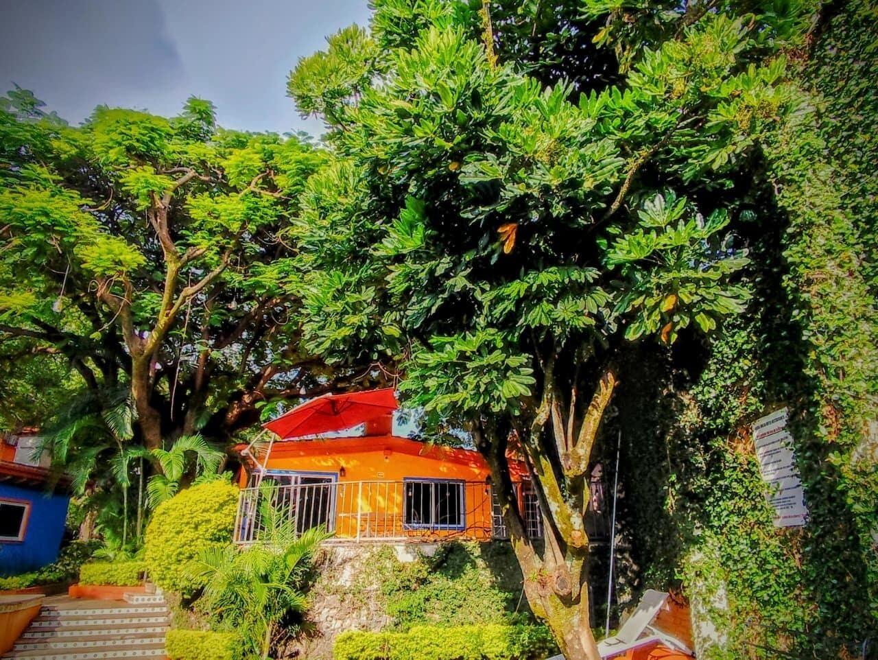 Vista Exterior Hotel Eterna Primavera Cuernavaca