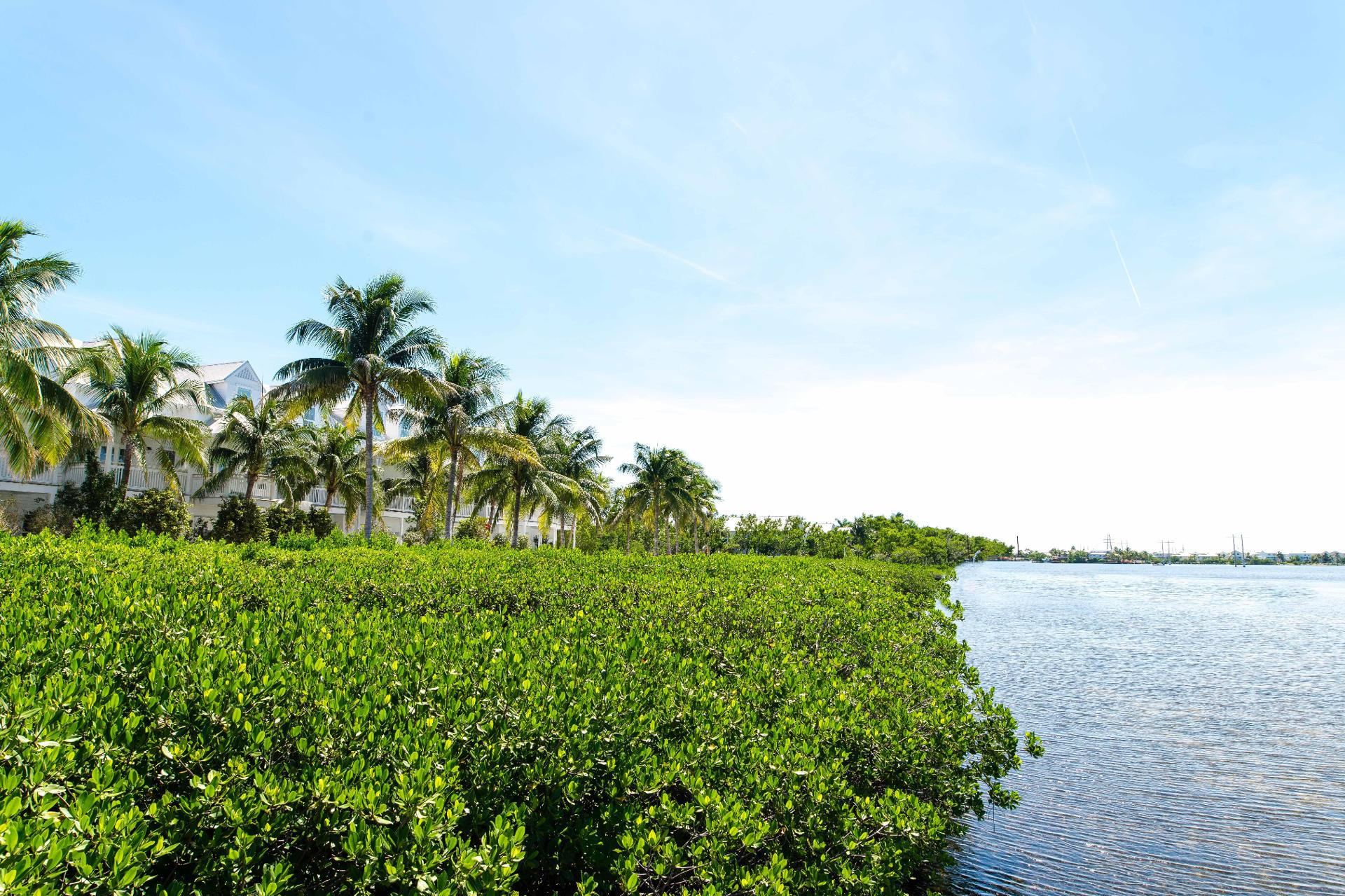Vista Exterior Parrot Key Hotel & Villas
