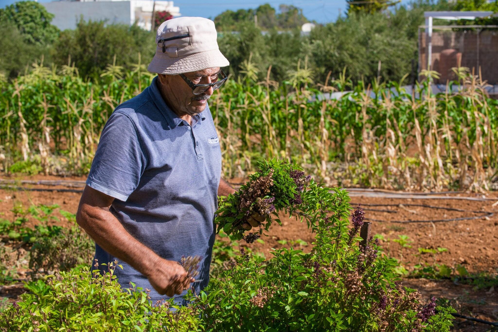Vista Exterior Hara Ilios Village