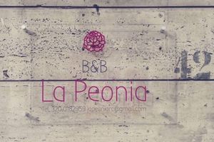 Pacote - B&B La Peonia