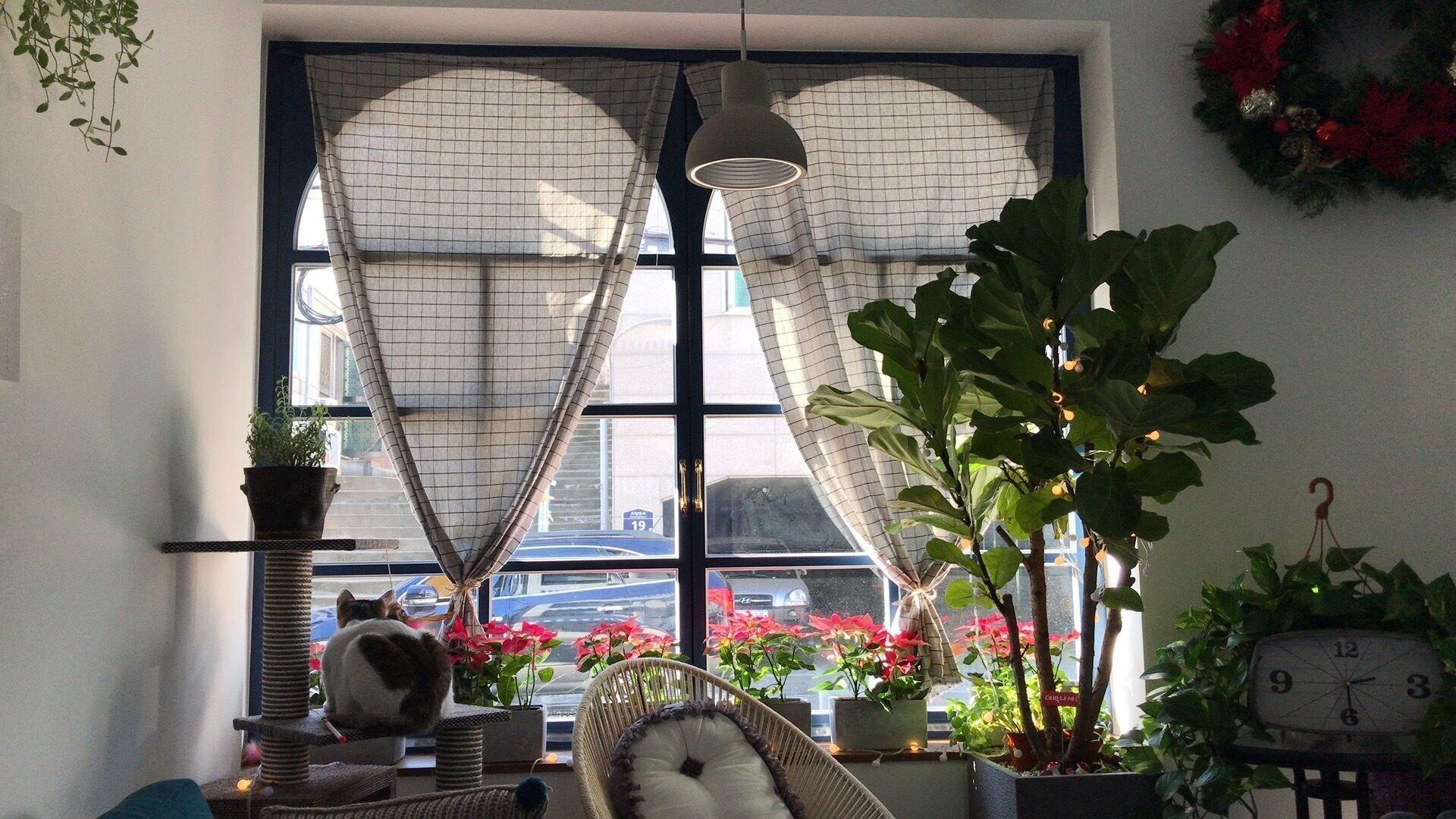 Vista Lobby Hostel Single Single