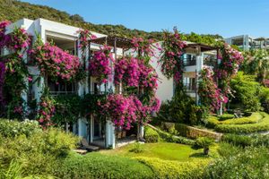 Alojamiento - Kempinski Hotel Barbaros Bay