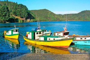 Paquete - Paquetes a Puerto Montt