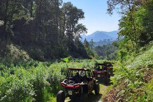Actividad - Zacatlán Off-Road Adventure