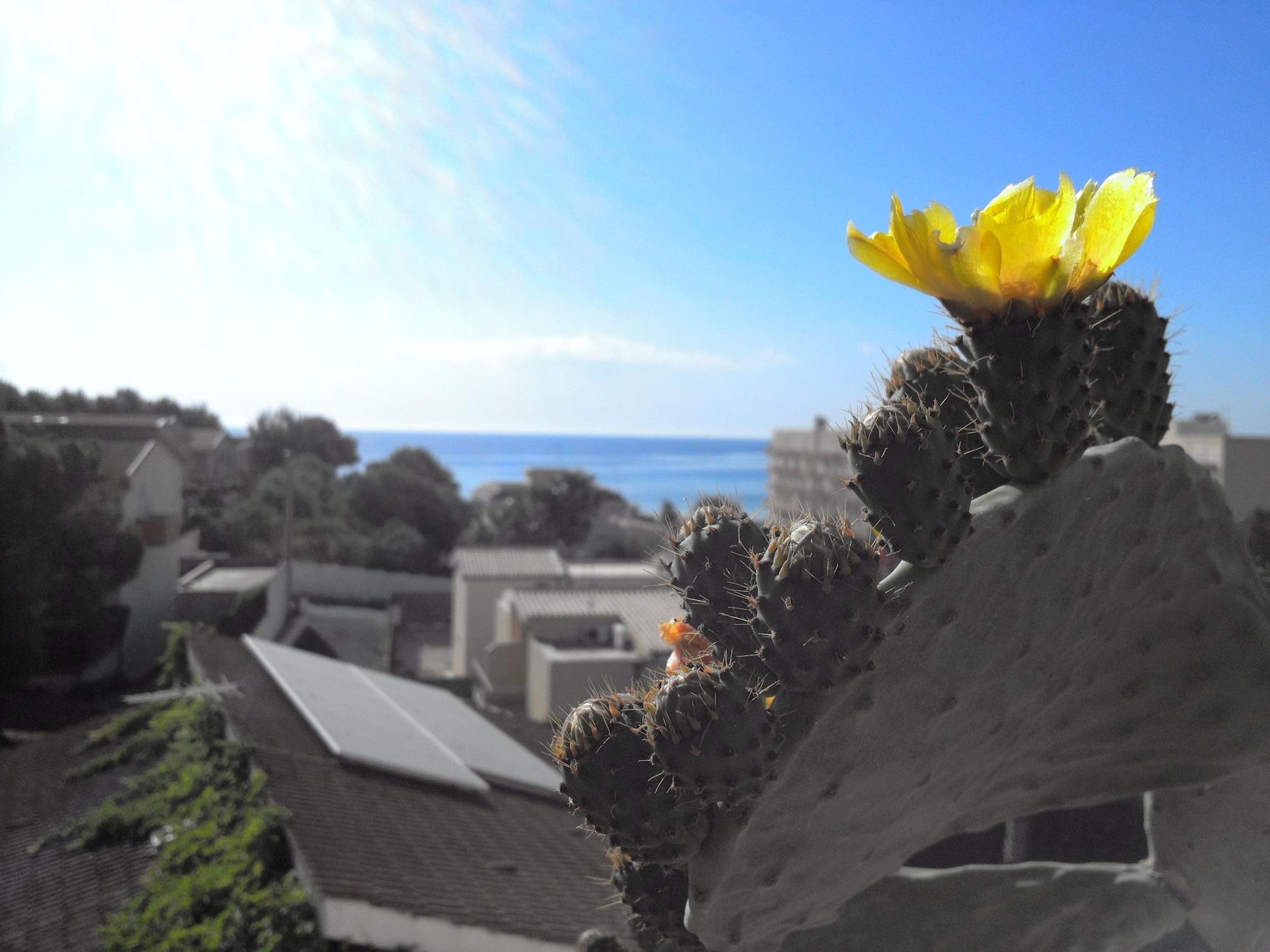Vista Exterior B&B Due Passi Dal Mare