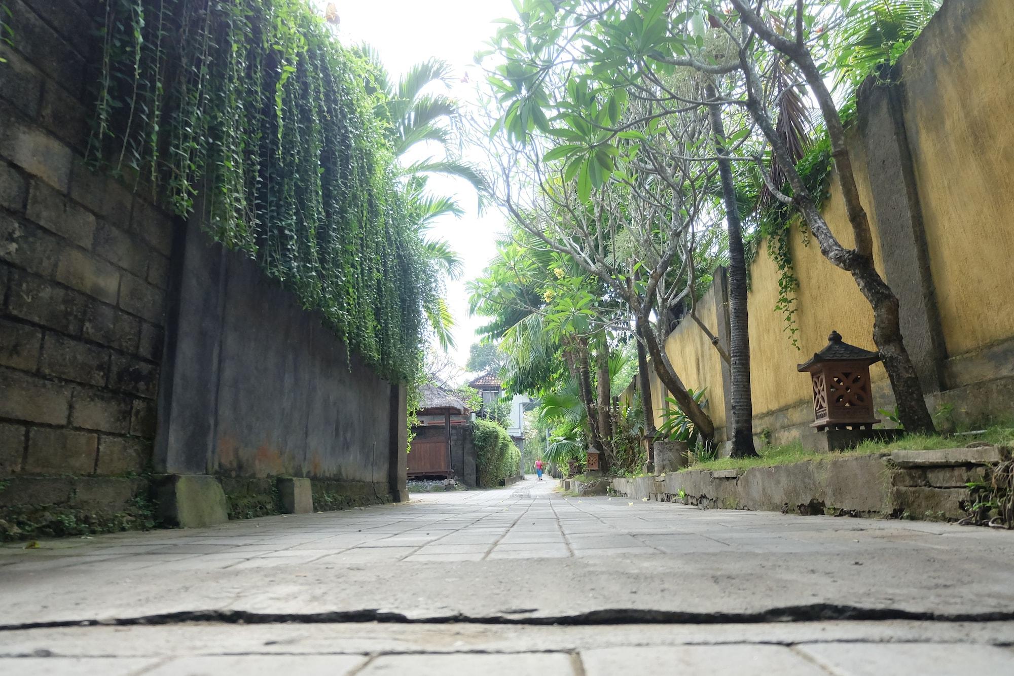 Vista Exterior Semarandana