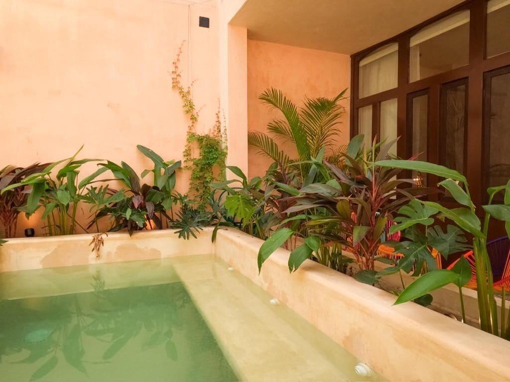 Vista Exterior Kuka & Milpa