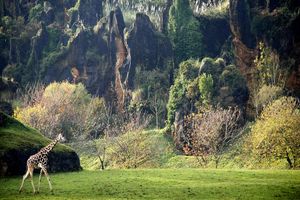 Actividad - Entrada al Parque de la Naturaleza de Cabárceno