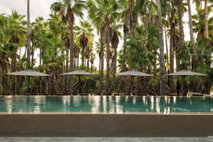 Alojamiento - Amet Nature Retreat