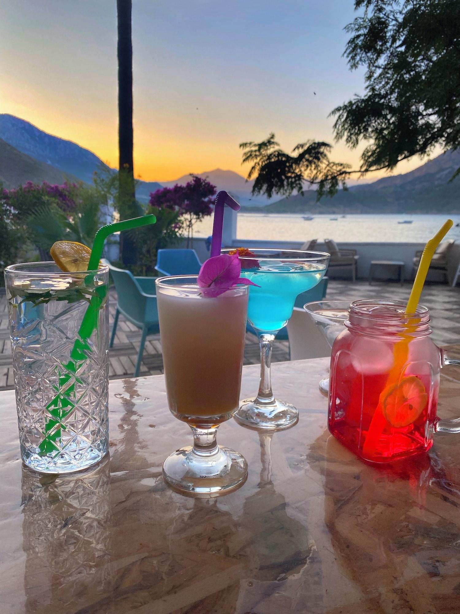 Bar/Salón Ford Hotel - Special Class