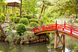 Actividad - Private Hiroshima Tour with a Local, Highlights & Hidden Gems, 100% Personalized