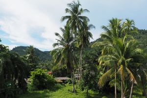 Alojamiento - Crystal Lamai Hotel