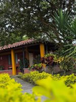 Alojamiento - Hotel Aramat Heliconias
