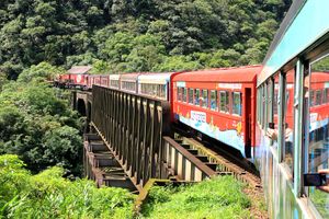 Actividad - Tren Turístico a Morretes por la Sierra Verde con almuerzo