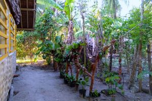 Alojamiento - La Acuario Beach Inn